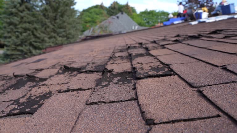 Best Storm Damage Roof Repair  in Nneconne, WI