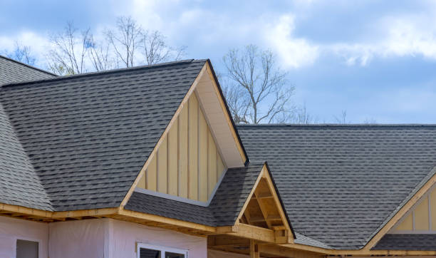 Best Wood Shake Roofing  in Nneconne, WI