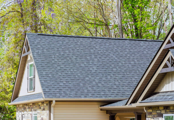 Best Roof Ventilation Installation  in Nneconne, WI